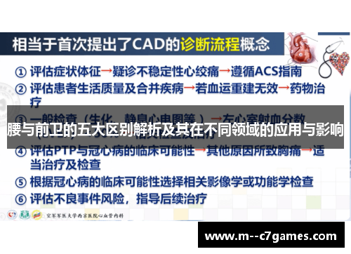 腰与前卫的五大区别解析及其在不同领域的应用与影响 腰与前卫的五大区别解析及其在不同领域的应用与影响