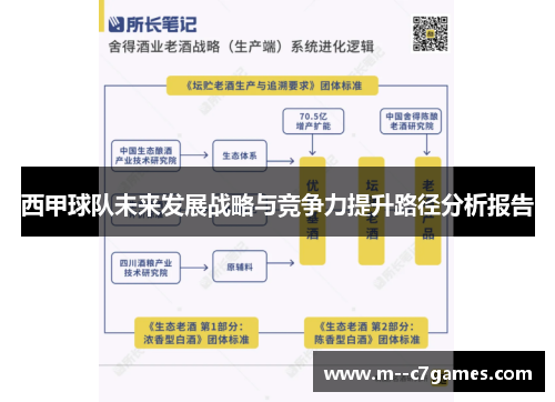 西甲球队未来发展战略与竞争力提升路径分析报告 西甲球队未来发展战略与竞争力提升路径分析报告