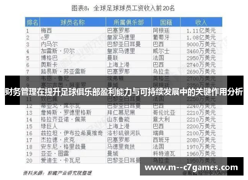 财务管理在提升足球俱乐部盈利能力与可持续发展中的关键作用分析 财务管理在提升足球俱乐部盈利能力与可持续发展中的关键作用分析