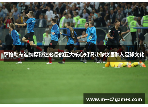 萨格勒布迪纳摩球迷必备的五大核心知识让你快速融入足球文化